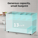 KICHKING Commercial Chest Freezers