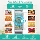27" Solid Door Stainless Steel Reach-In freezer
