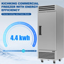KICHKING 29"W 26 Cu.Ft Reach-in Freezer, Stainless Steel Single Door -8℉-0℉ Commercial Upright Freezer for Restaurant, Cafe, Bar, Garage