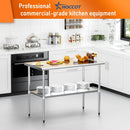 HOCCOT Stainless Steel Table for Prep & Work 24" X 48" inches with Adjustable Shelf