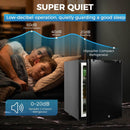 Mini Fridge for Bedroom, 1.07 cu.ft 110V Quiet Fridge with Lock, Small Silent Compact Refrigerator for Dorm RV Hotel Office, Noise Absorption, Black