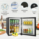Mini Fridge for Bedroom, 1.07 cu.ft 110V Quiet Fridge with Lock, Small Silent Compact Refrigerator for Dorm RV Hotel Office, Noise Absorption, Black
