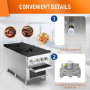 KICHKING 2 Burners Gas Stove Countertop Range
