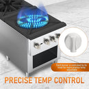 KICHKING 2 Burners Gas Stove Countertop Range