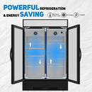 double-layer tempered glass door for a two-section commercial merchandiser refrigerator