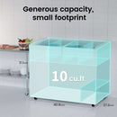 KICHKING Commercial Chest Freezers